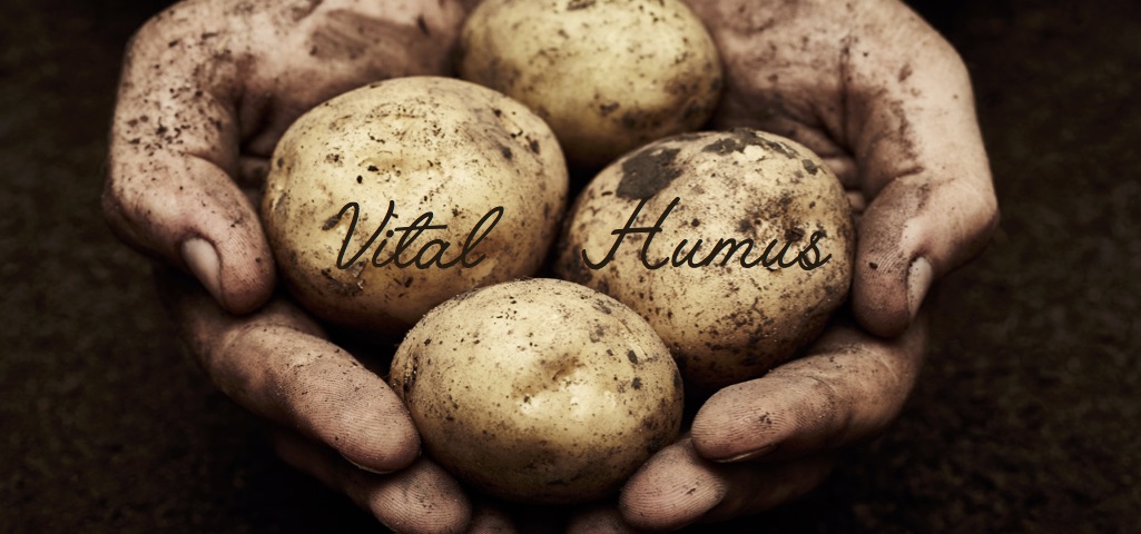 Vital humus